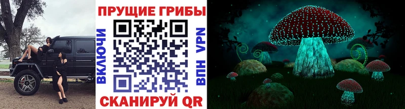 Псилоцибиновые грибы ЛСД Ртищево